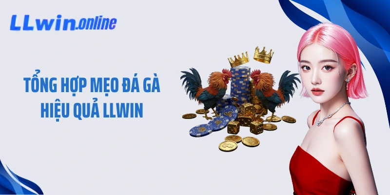 Tổng hợp mẹo đá gà hiệu quả LLWIN